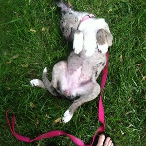 Meet your Posher, Amanda